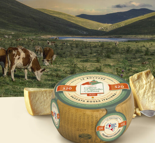 Una nouveté exclusive: Parmigiano Reggiano uniquement de vaches 