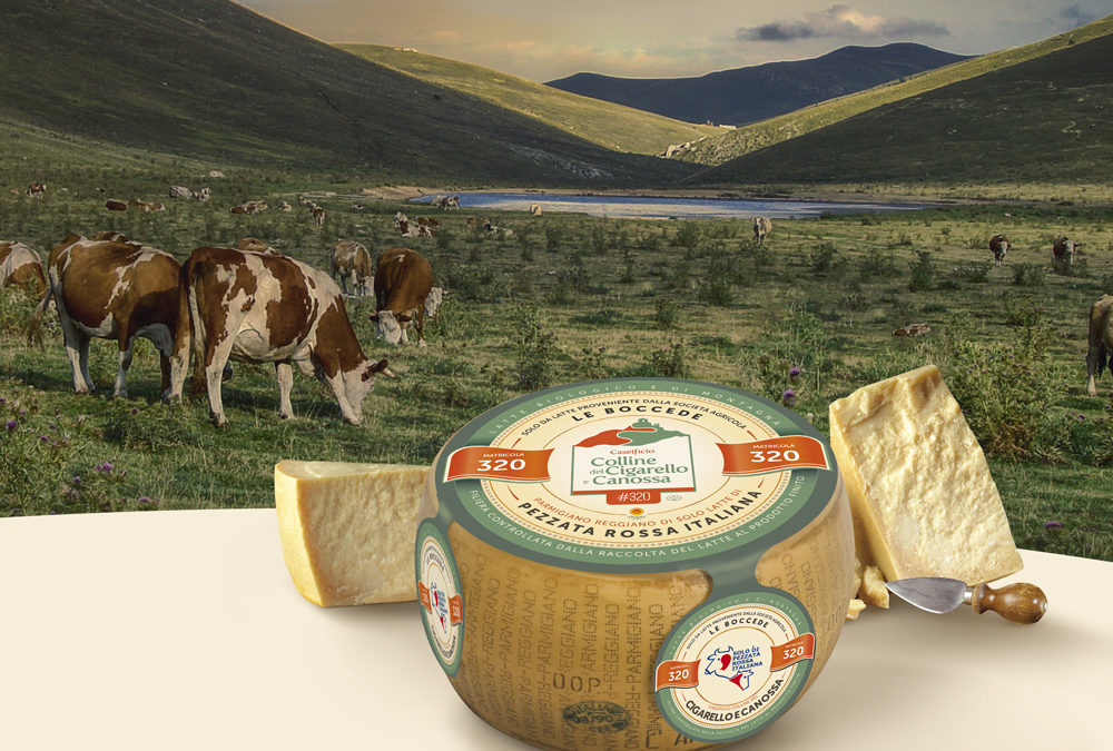 Parmigiano Reggiano “Italian Simmental breed only”