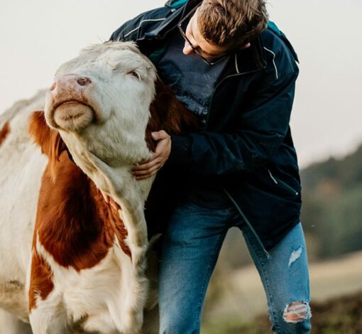 Bienestar animal: la certificación de la cadena de suministro es lo más importante de nuestra estrategia de sostenibilidad