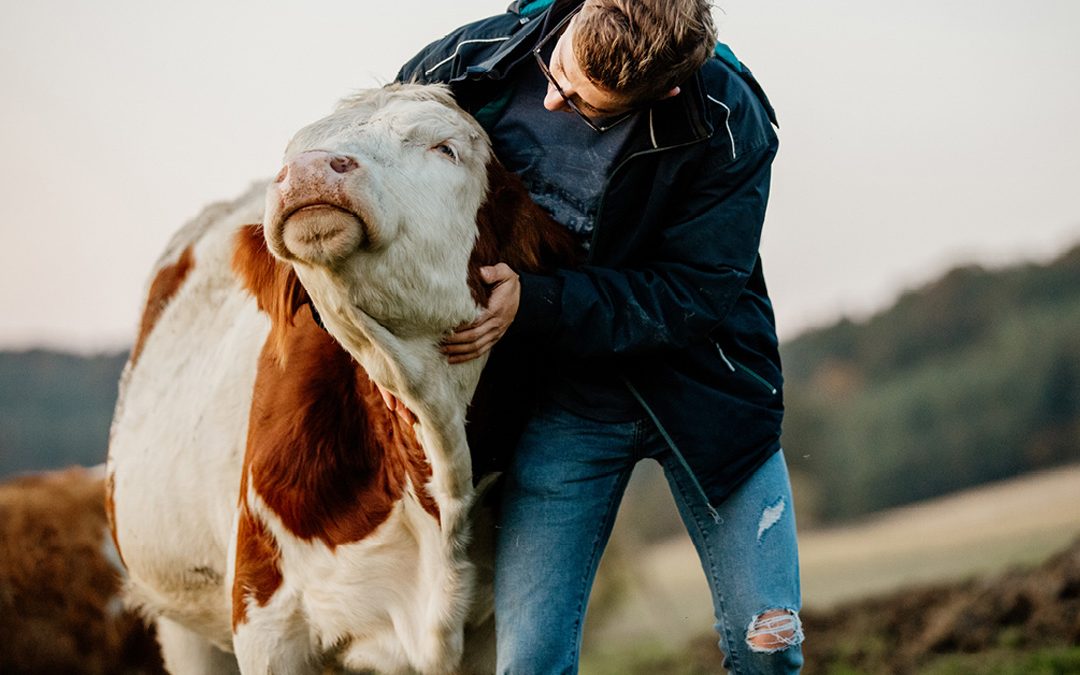 IL BENESSERE ANIMALE: LA CERTIFICAZIONE DI FILIERA AL CENTRO DELLA STRATEGIA DI SOSTENIBIITA’