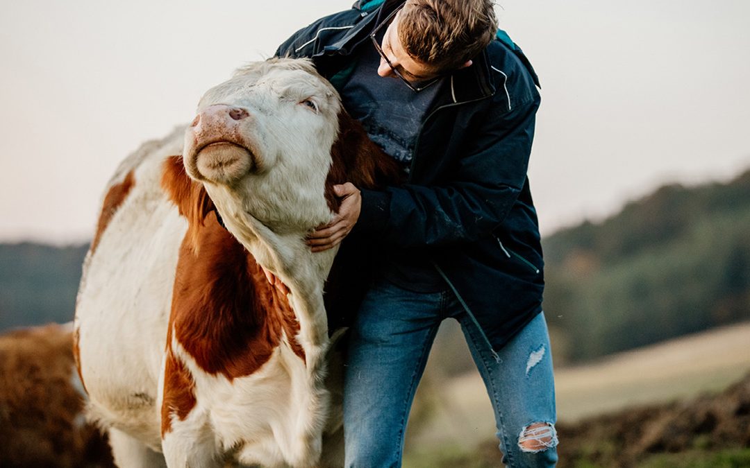 Tierwohl: Zertifizierung der Lieferkette als Kernstück der Nachhaltigkeitsstrategie