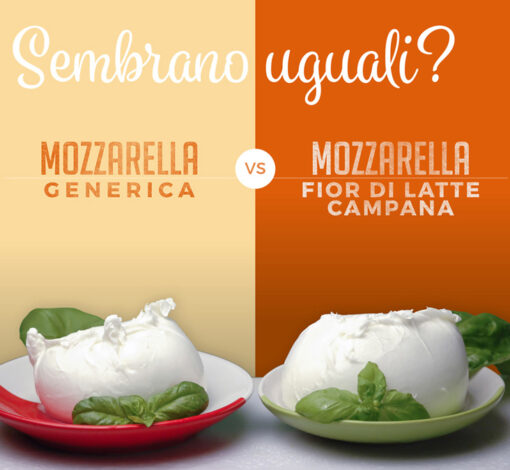 Mozzarella Fior di Latte Campana versus mozzarella générique