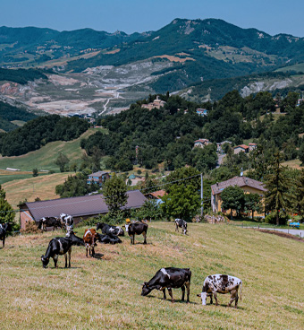 Colline di Canossa