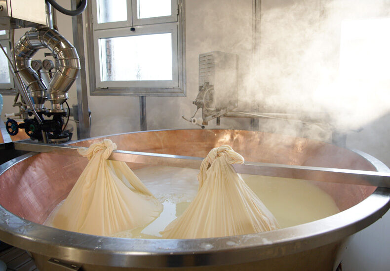 The art of Parmigiano Reggiano 3