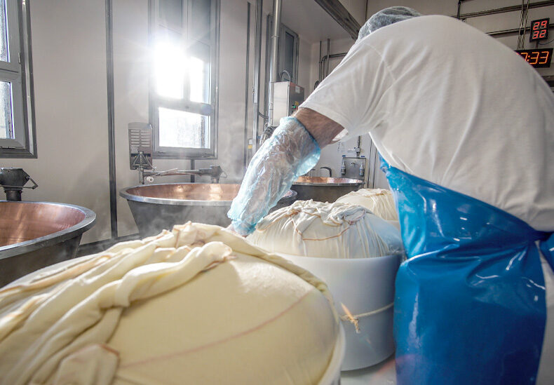Die Kunst der Herstellung des Parmigiano Reggiano 5