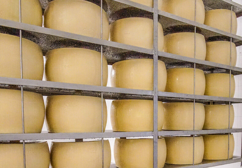 The art of Parmigiano Reggiano 6