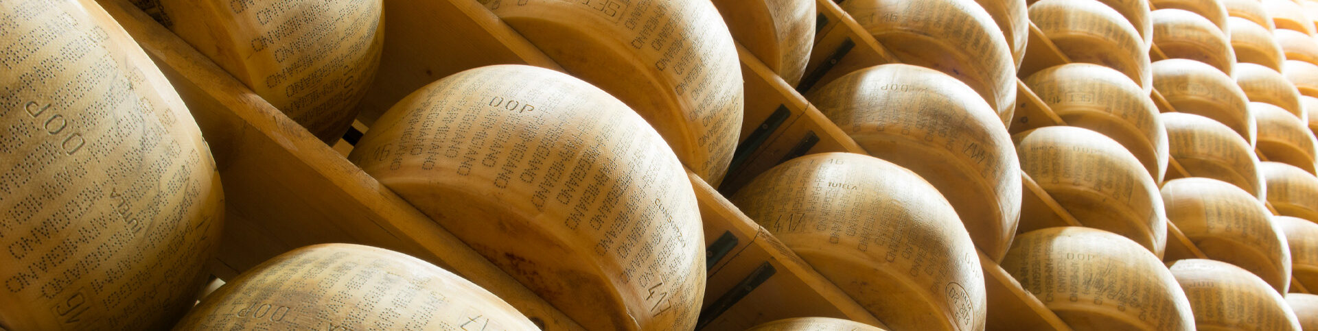 Découvrez tous les nos fromages