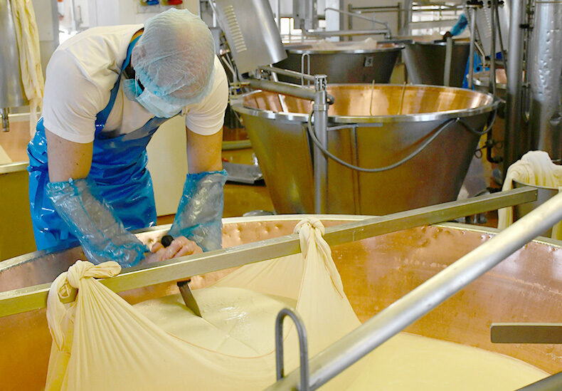 The art of Parmigiano Reggiano 3