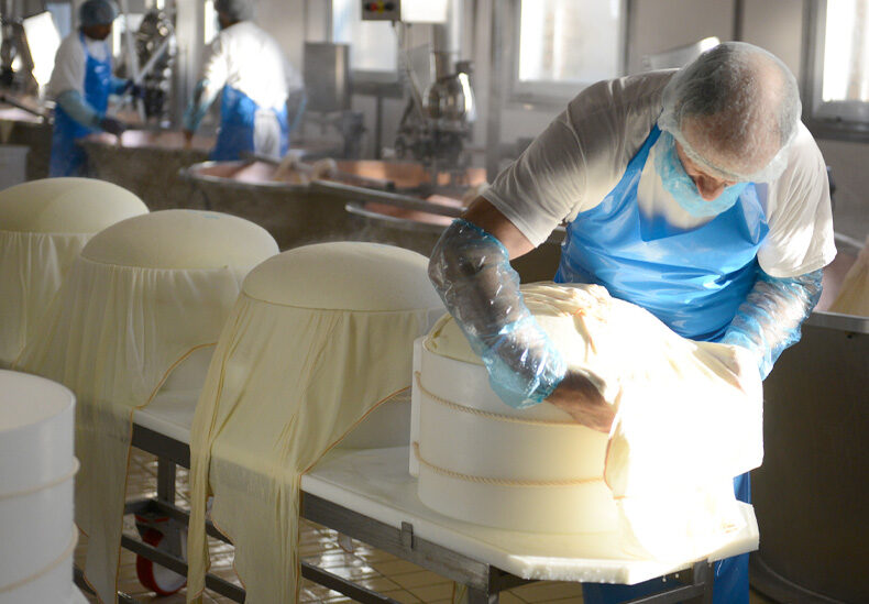 The art of Parmigiano Reggiano 5