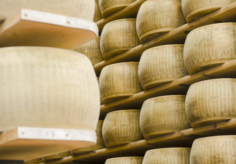 Die Kunst der Herstellung des Parmigiano Reggiano 8