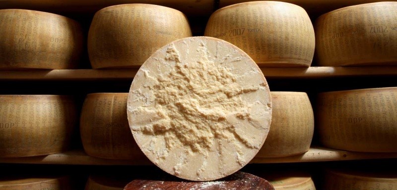 Parmigiano Reggiano: a lactose free cheese