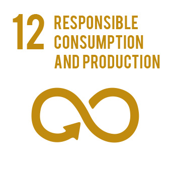 Responsible consumption and production