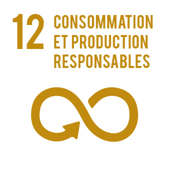 Consommation et production responsables