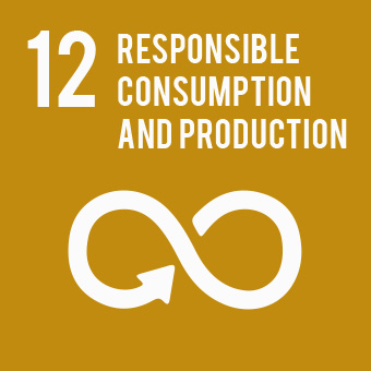 Responsible consumption and production