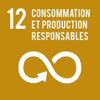 Consommation et production responsables