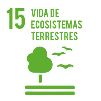 Vida de ecosistemas terrestres