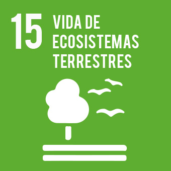 Vida de ecosistemas terrestres