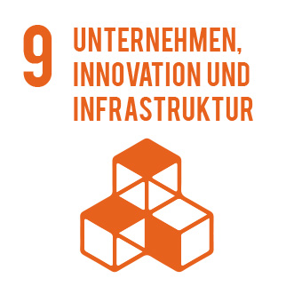 Unternehmen, Innovation und Infrastruktur