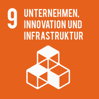 Unternehmen, Innovation und Infrastruktur