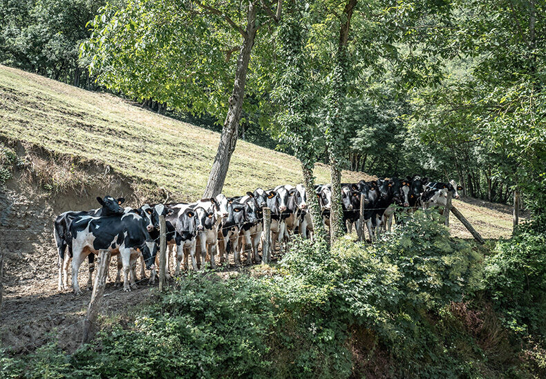 Conosci l'azienda 2