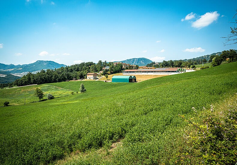 Conosci l'azienda 3