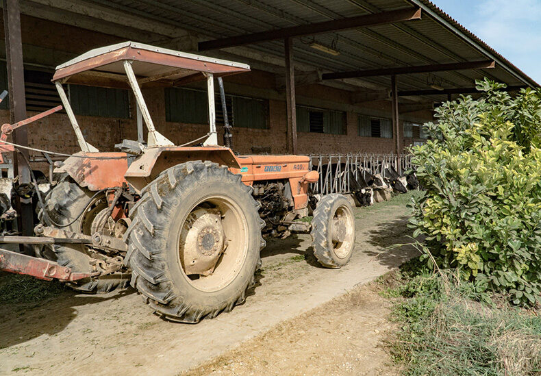 Conosci l'azienda 3