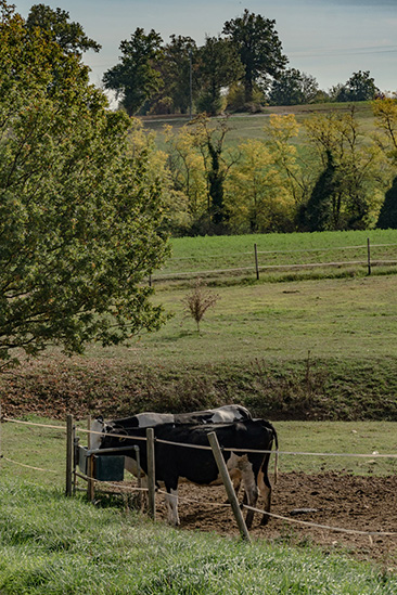 Conosci l'azienda 2