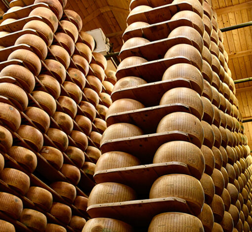 Ammodernamento tecnologico di processi produttivi per la lavorazione di formaggio Parmigiano Reggiano DOP certificato per l’esportazione nei mercati esteri