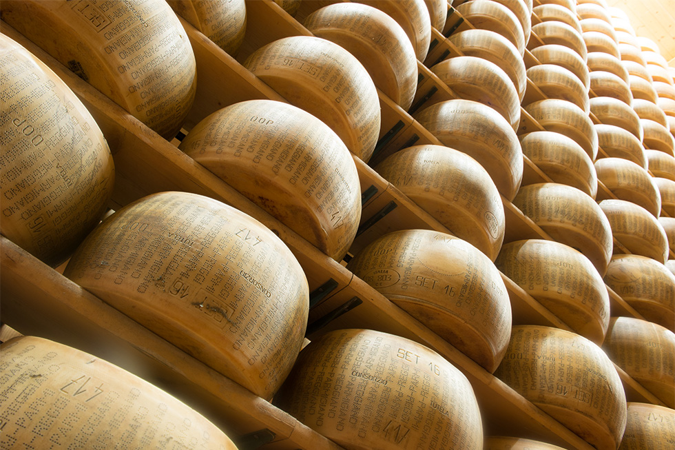 AMMODERNAMENTO TECNOLOGICO DEI PROCESSI DI PRODUZIONE DEL FORMAGGIO PARMIGIANO REGGIANO DOP