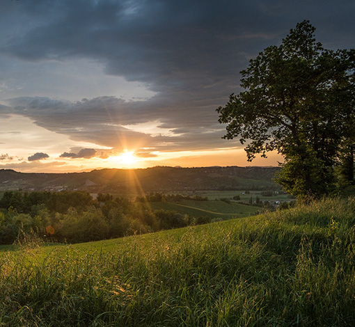 DALTERFOOD GROUP PUBLIE SON DEUXIÈME RAPPORT SUR LE DÉVELOPPEMENT DURABLE