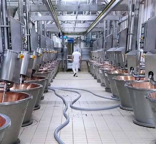 STRATEGIE DI INVESTIMENTO PER IMPRESE AGROINDUSTRIALI: APPROCCIO INDIVIDUALE E DI IMPRESA