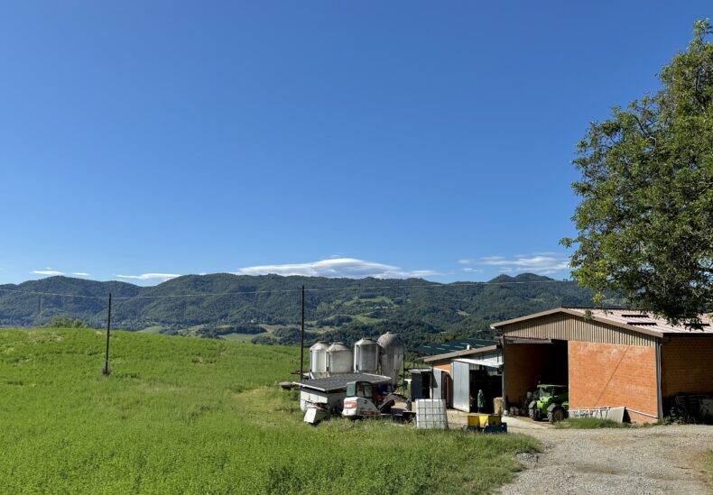 Discover the company 4