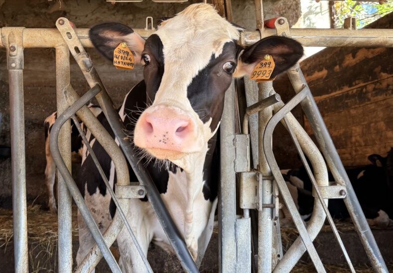 Discover the company 2