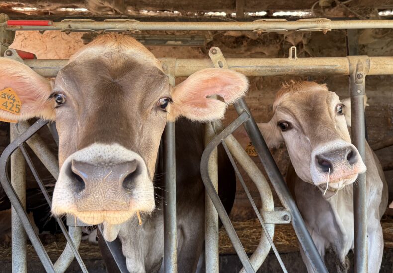 Discover the company 1